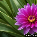 방과후지도사 필수 프로그램과 도구 관련 이미지 1