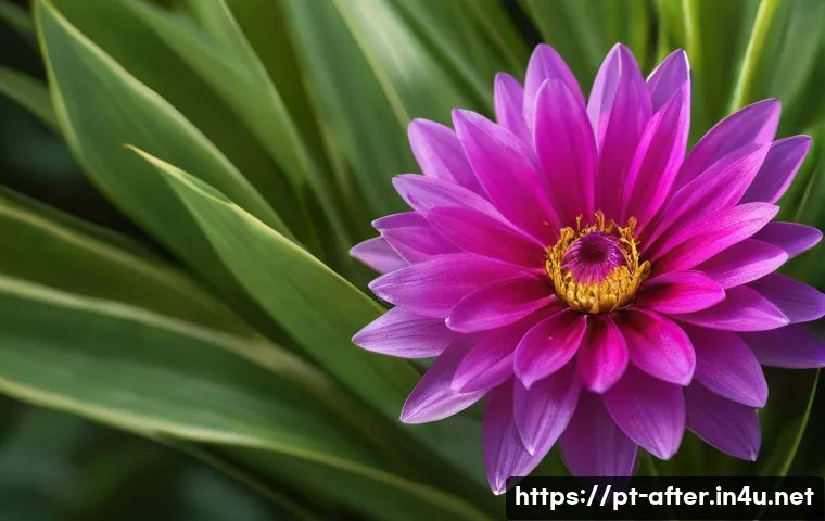 방과후지도사 필수 프로그램과 도구 관련 이미지 1